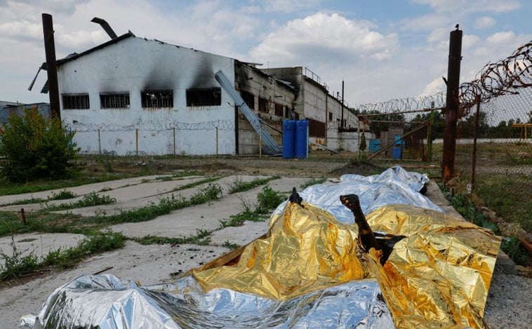 Moscú y Kiev se acusan de la muerte de 40 prisioneros ucranianos en el bombardeo de una cárcel en Donetsk