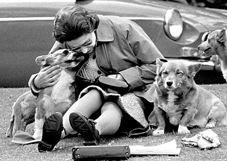Imagen secundaria 1 - En sus 96 años de vida, ha tenido más de 30 perros de esta raza. La mayoría de ellos eran descendientes de Susan, el primer corgi que le fue regalado con 18 años por su padre, el Rey Jorge VI