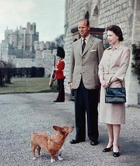 Imagen secundaria 2 - En sus 96 años de vida, ha tenido más de 30 perros de esta raza. La mayoría de ellos eran descendientes de Susan, el primer corgi que le fue regalado con 18 años por su padre, el Rey Jorge VI