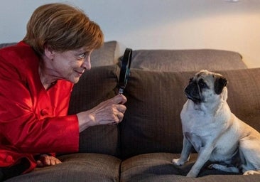 'Miss Merkel', la serie que se estrena hoy en Alemania y donde la excanciller se convierte en detective