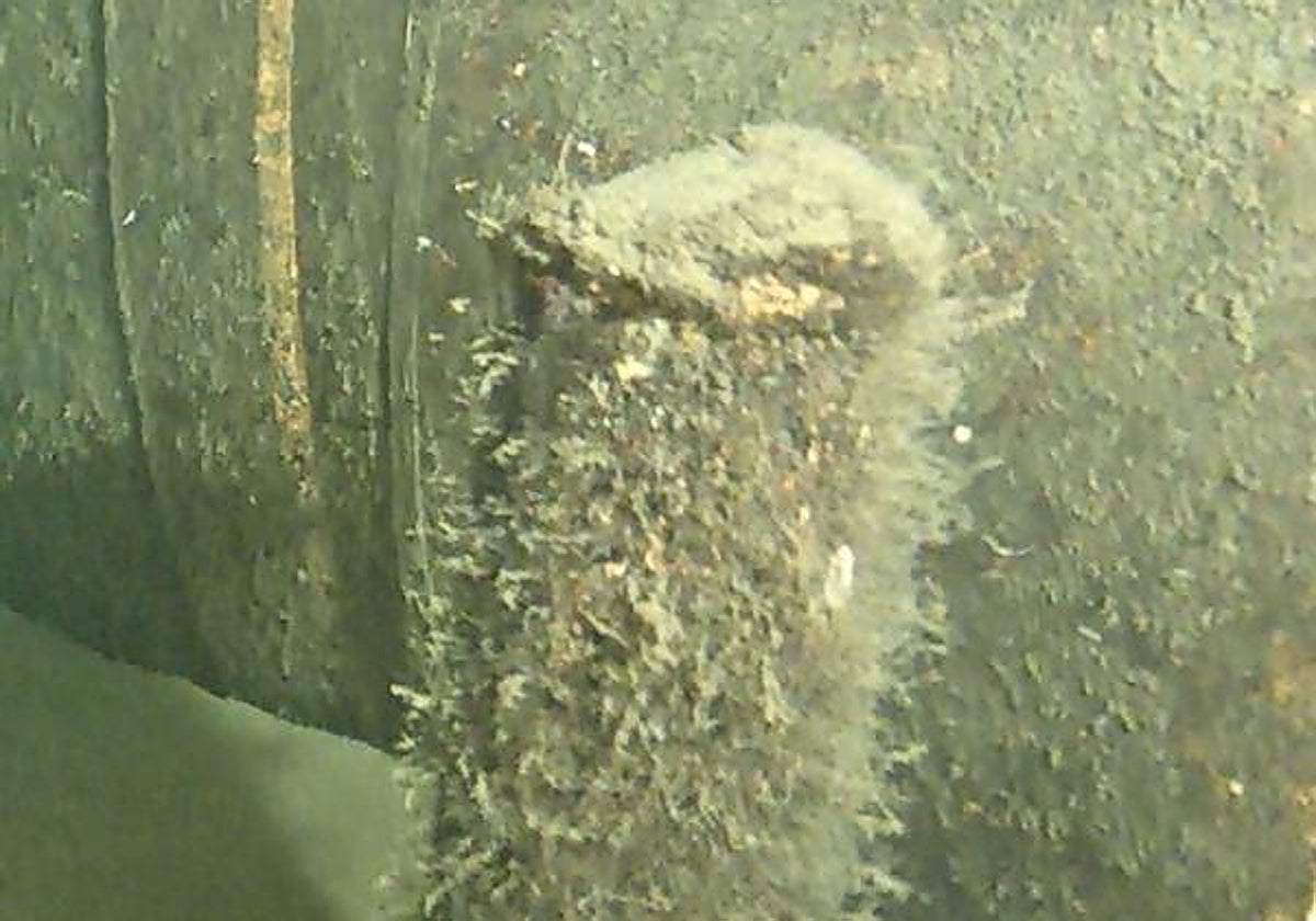 Detalle del objeto identificado en las profundidades del mar Báltico