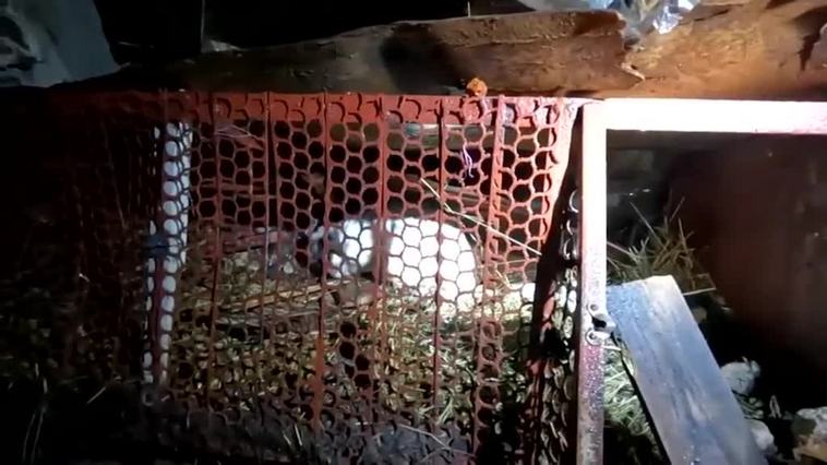 El ejército ruso bombardea varios edificios en Jarkov