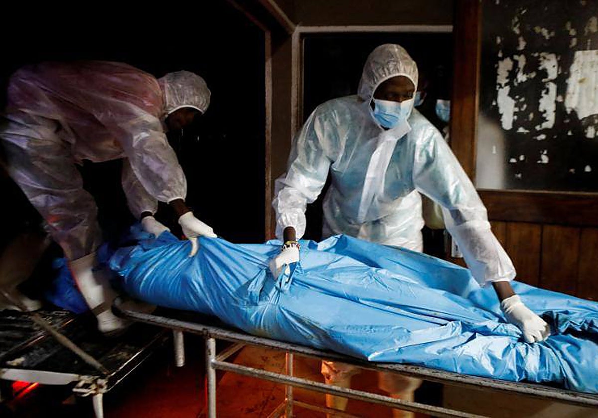 Operarios de los trabajos de exhumación trasladan uno de los centenares de cuerpos hallados al norte de Kenia