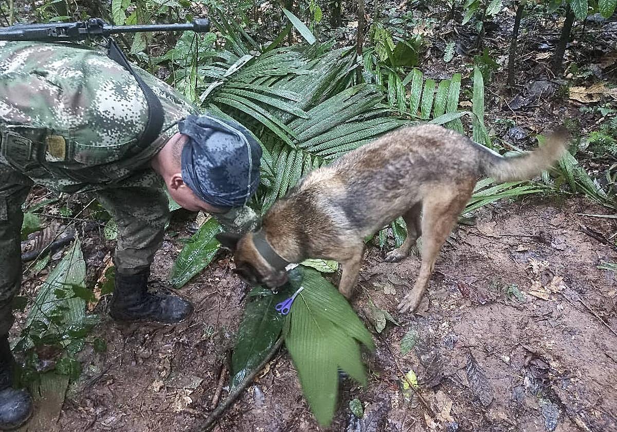 Operativo de búsqueda de los niños desaparecidos en la selva