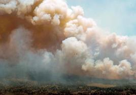 Más de 10.000 evacuados ante el avance de 200 incendios forestales en Canadá