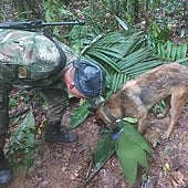 Una cinta amarilla de 11 kilómetros y 600 silbatos para encontrar a los niños perdidos en la selva colombiana