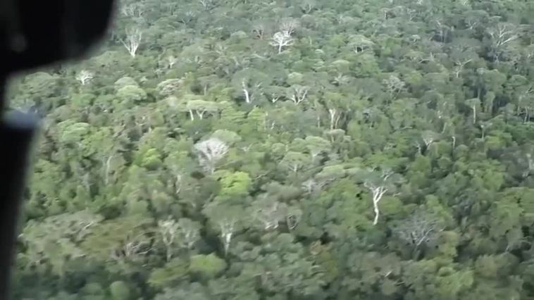 "Están vivos y jugando": la mejor noticia sobre los 'niños milagro' de Colombia
