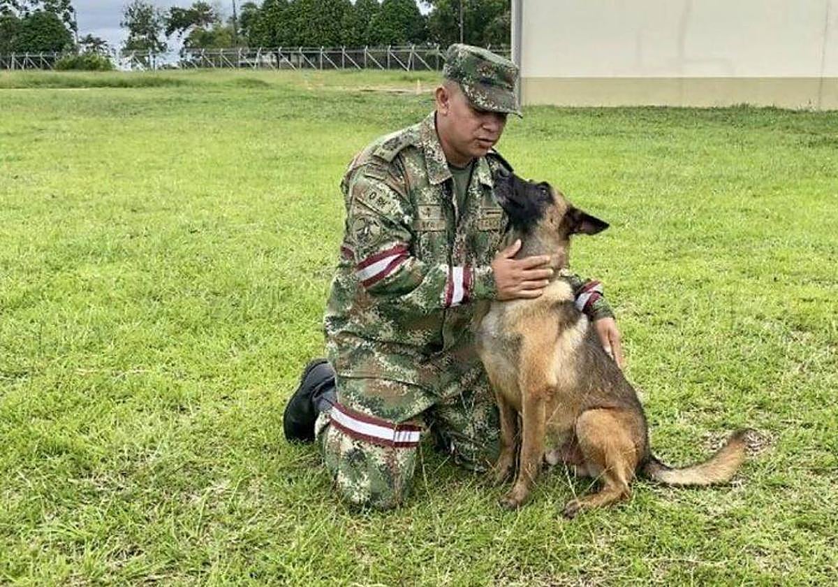 Wilson, el perro rastreador junto con un militar colombiano