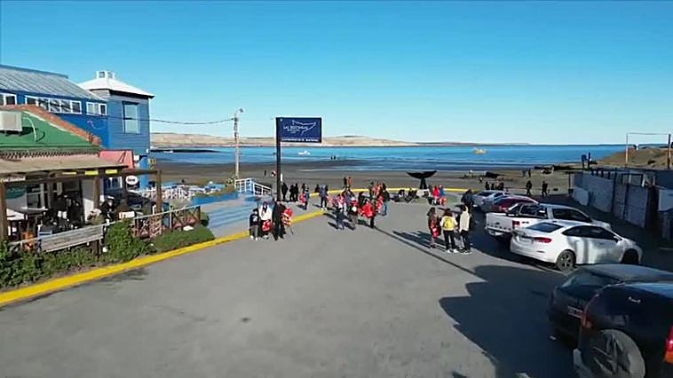 Las ballenas francas australes llegan a la costa patagónica argentina para reproducirse