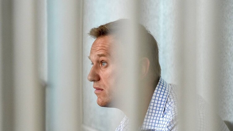 Envenenado, encarcelado y en un juicio permanente: Nalvani, el opositor más odiado por Putin