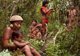 «Científicos, zoólogos y médicos»: así son los yanomami, una tribu amenazada que vive en Brasil y Venezuela