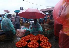Nigeria declara el estado de emergencia por la escasez de alimentos