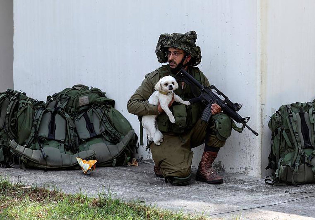 Un militar coge a un perro en Israel.