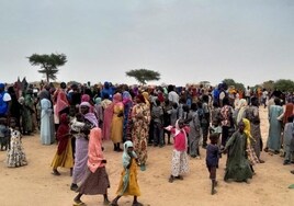Al menos 34 muertos en un bombardeo contra un mercado en Sudán