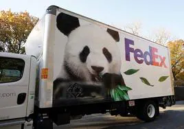 Washington se queda sin sus queridos osos panda: vuelven a China por las sanciones económicas de Estados Unidos