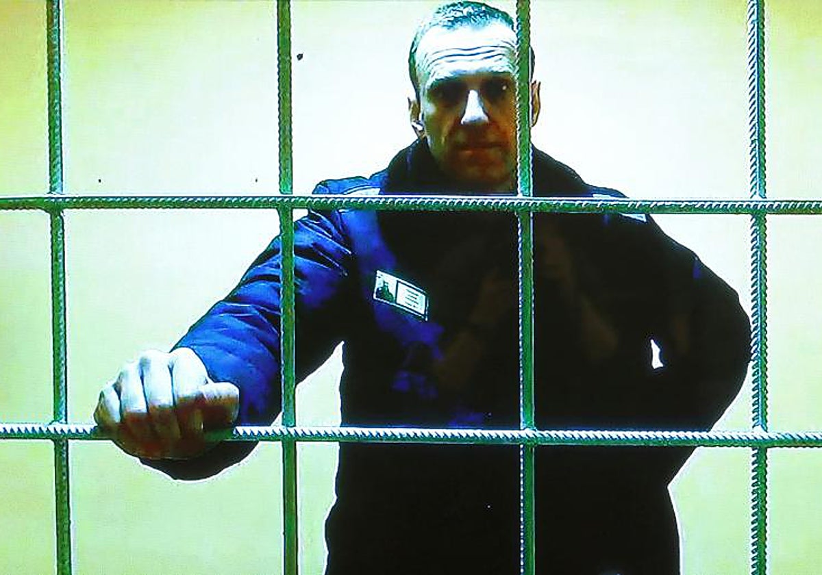 La relatora de la ONU para los DD.HH. en Rusia alerta de la «preocupante desaparición forzosa» de Navalni