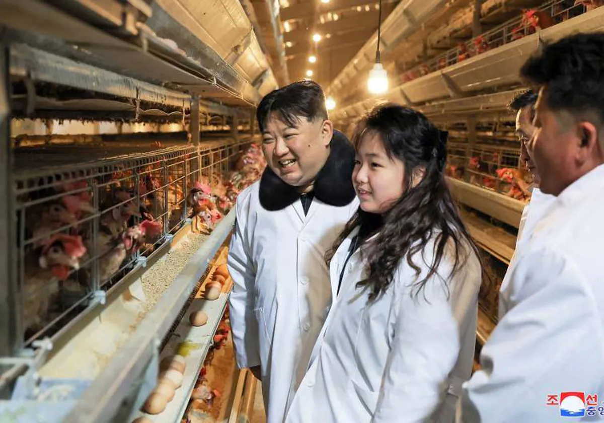 Kim Jong Un inspecciona una factoría de pollos en compañía de su hija Ju Ae, en la provincia de Hwanghae, en Corea del Norte