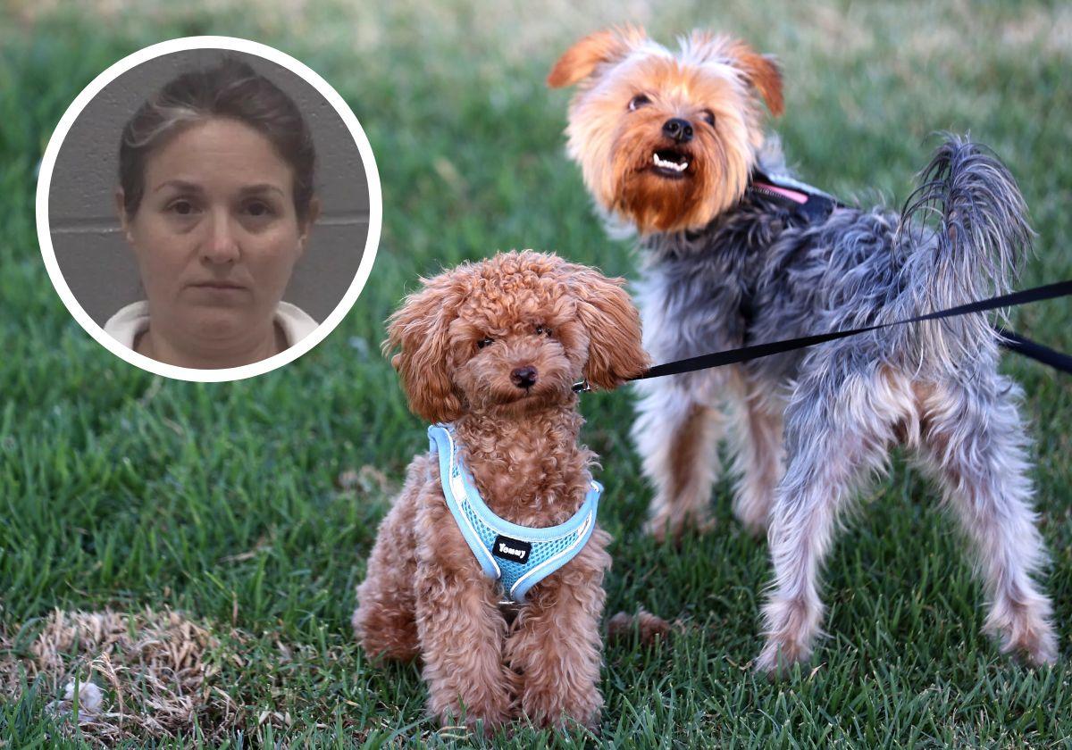 Arriba, la detenida Elsabeth Nevils. Abajo, dos perros
