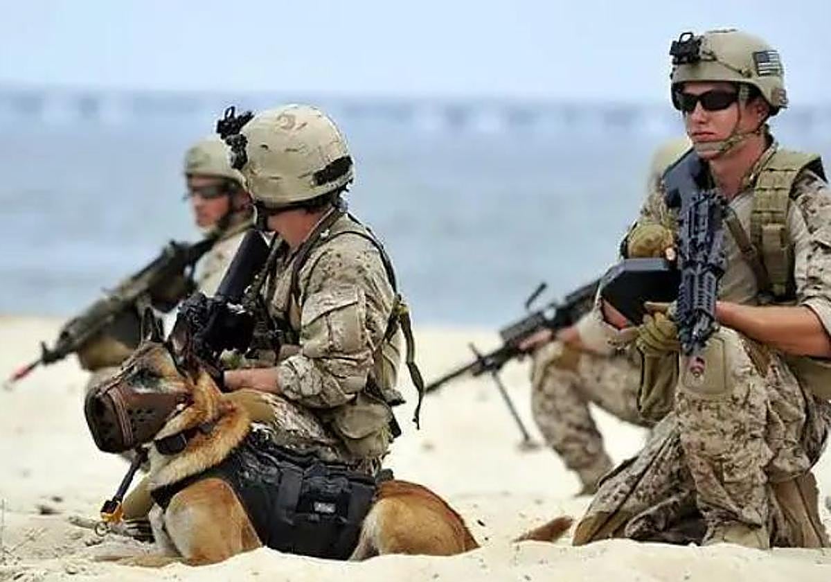 Imagen de archivo de los Navy Seal