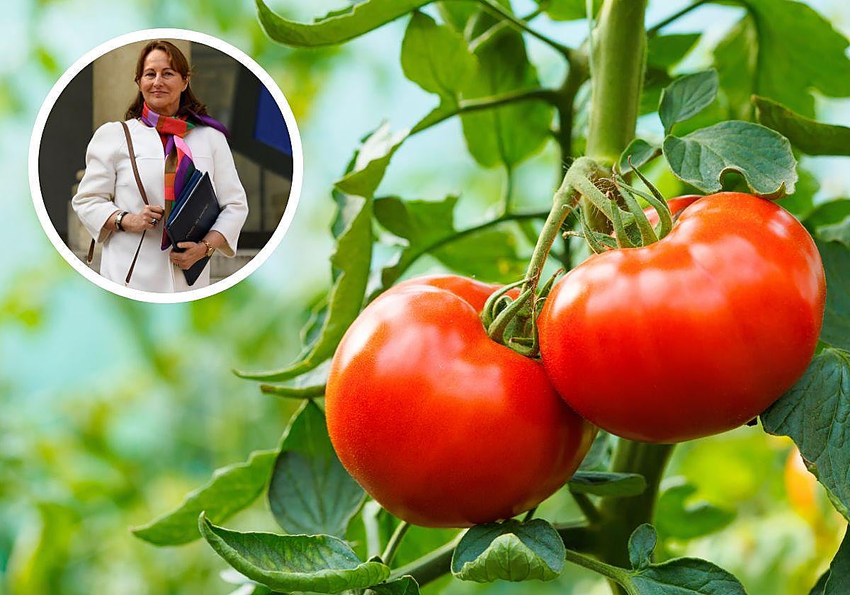 La exministra de Ecología francesa carga contra los productos bío españoles