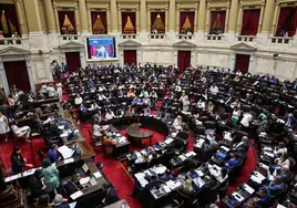 Vigilia en el Congreso argentino que debate la ley ómnibus de Milei en una sesión maratoniana