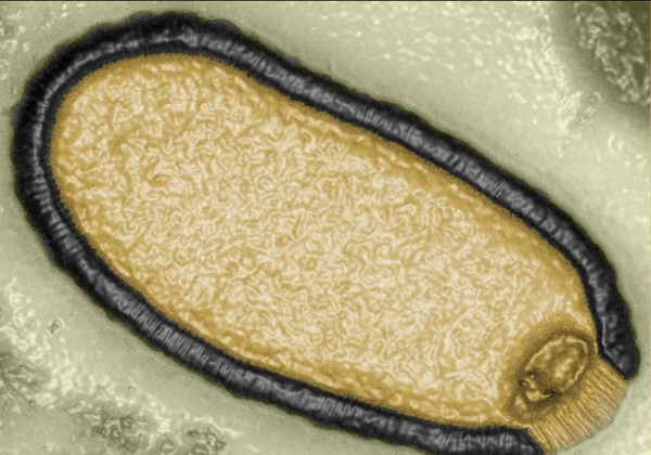 'Virus de Matusalén', las enfermedades enterradas que pueden despertar