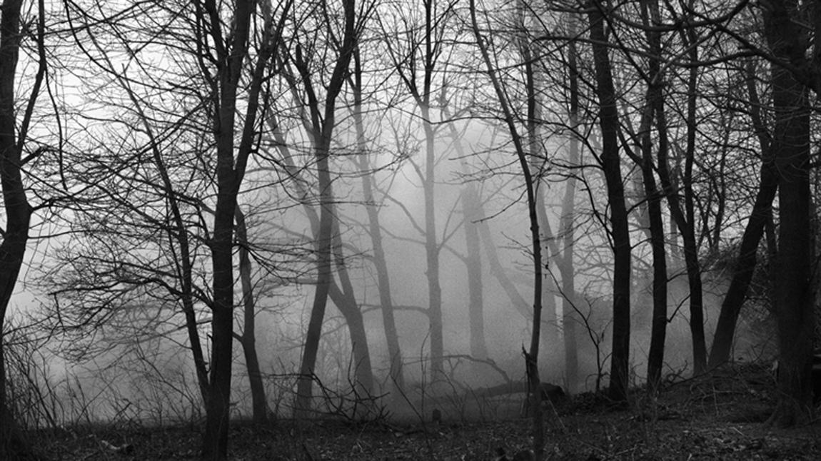 Una pieza de artillería camuflada en la frondosidad de una arboleda