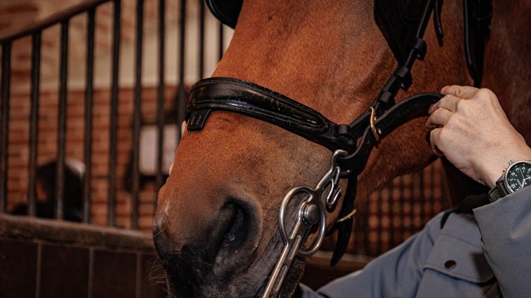 Muere un trabajador al ser aplastado por un caballo en un centro hípico