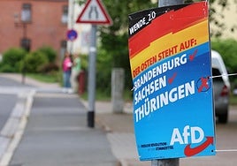 Alternativa para Alemania pierde uno de cada tres votos en las encuestas por sus propios escándalos