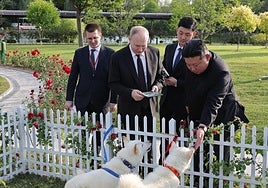 Los cariñosos regalos entre Putin y Kim Jong-un: una limusina de lujo equipada con antibalas y dos perros de raza pungsan