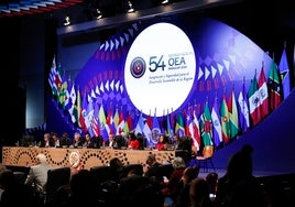 Rosa María Paya pide a la OEA romper el «silencio cómplice» ante las dictaduras de Cuba, Venezuela y Nicaragua