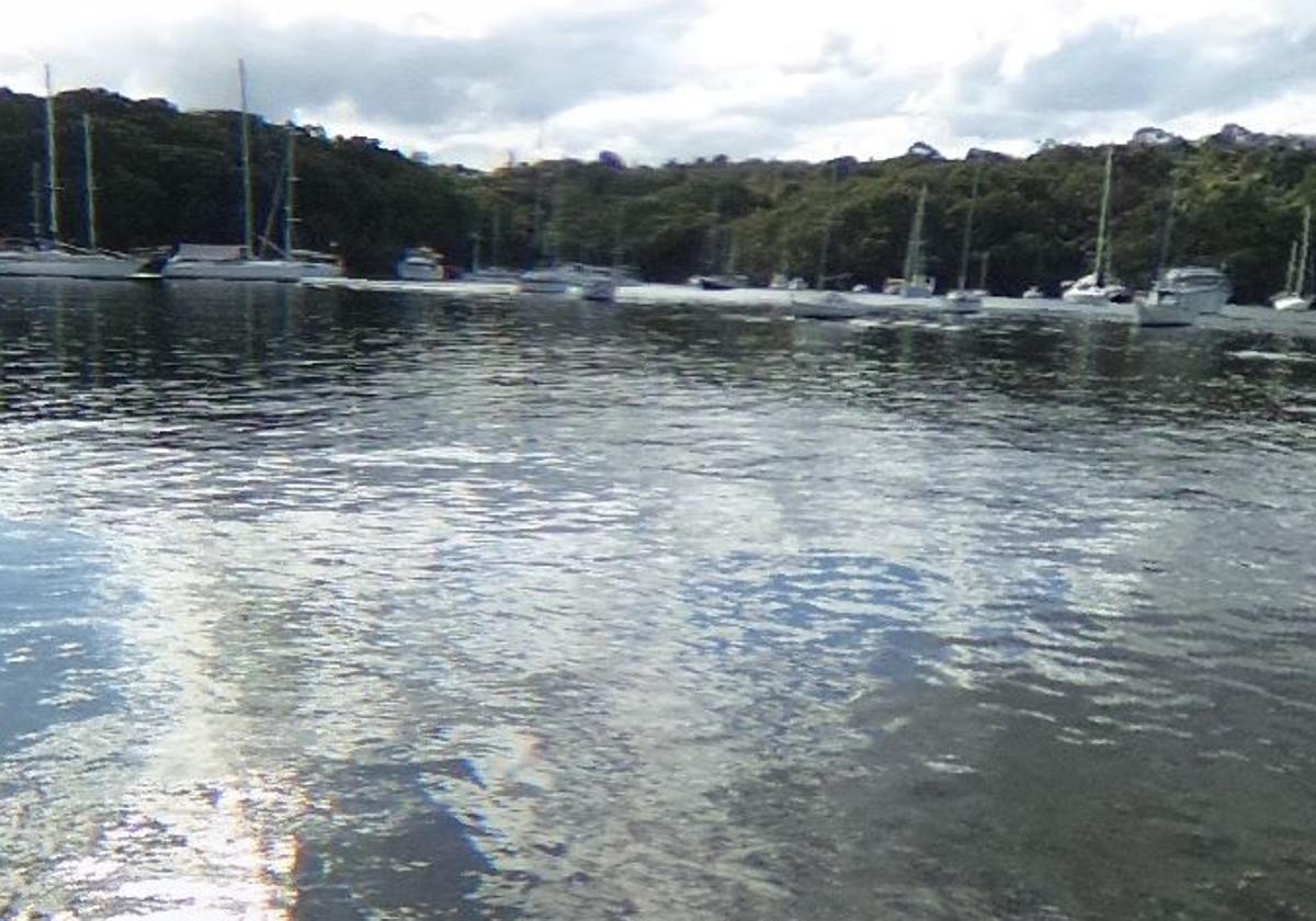 Barcos atracados en el Puerto de Cammeray