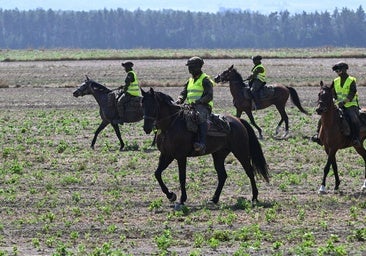 Polonia busca el dron ruso armado que habría entrado en su espacio aéreo