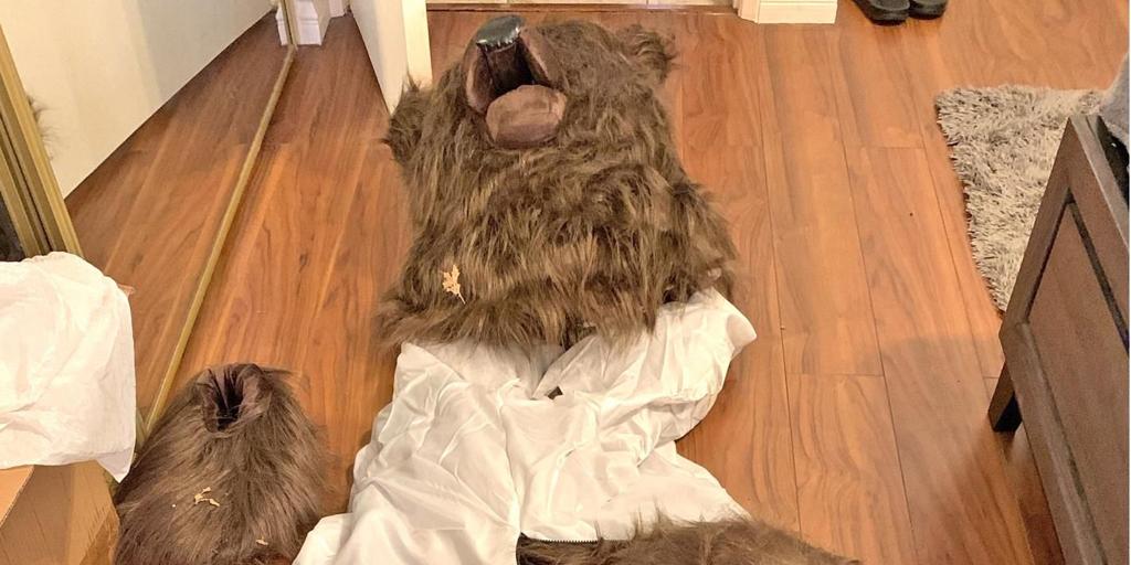 Four insurance fraudsters arrested in US who dressed up as bears to destroy their expensive cars