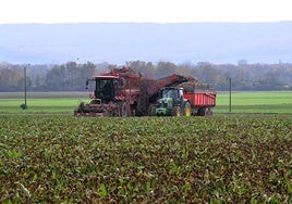 La Francia pobre y rural se «reconvierte» en la producción y consumo de drogas