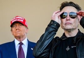 Trump y Musk, ¿un dúo demasiado dinámico para durar? Los expertos se pronuncian: una relación tensa que puede traer problemas