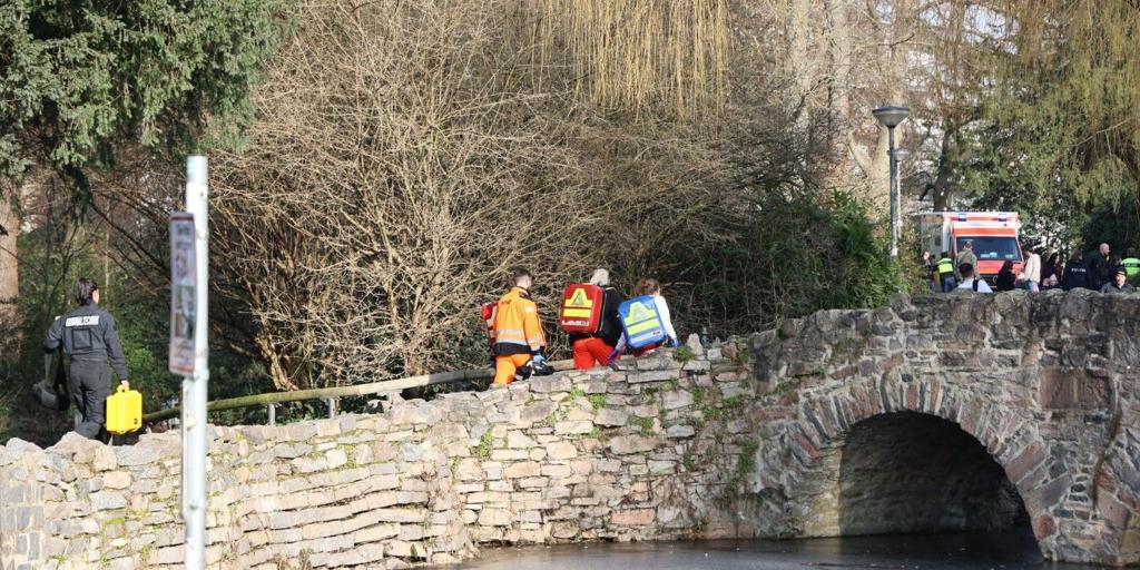 Dos muertos, entre ellos un niño de dos años, tras un ataque con cuchillo en un parque en Alemania