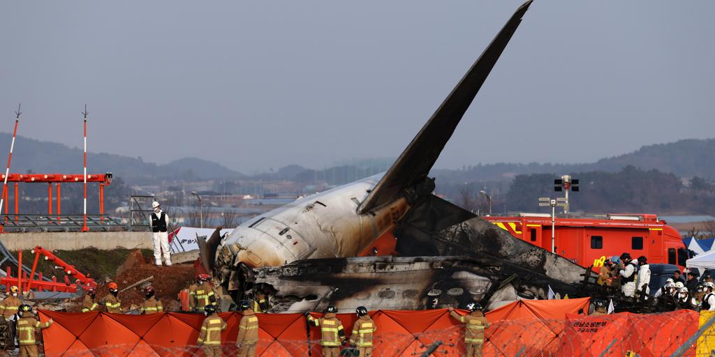 El informe preliminar sobre el avión siniestrado en Corea del Sur revela la presencia de plumas en los dos motores