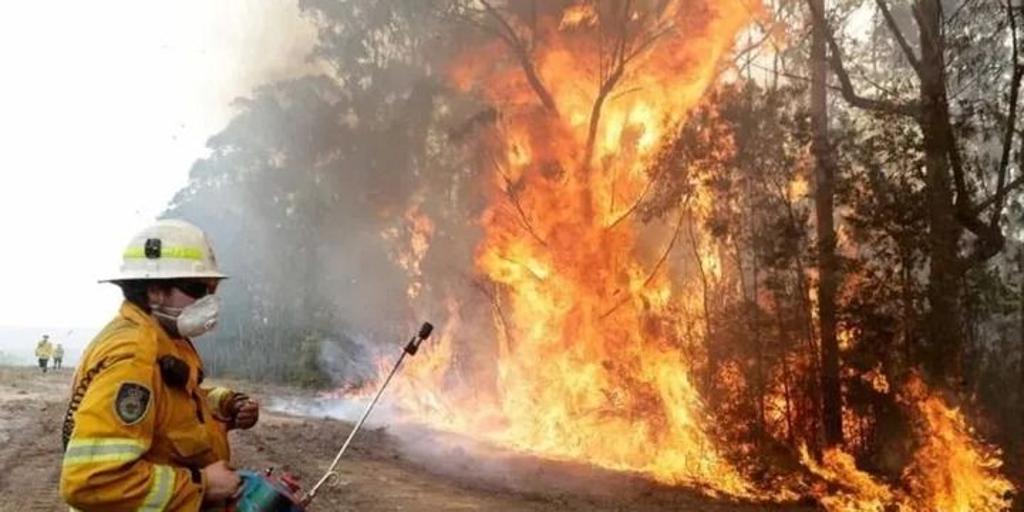 Varios incendios arrasan más de 65.000 hectáreas en Australia