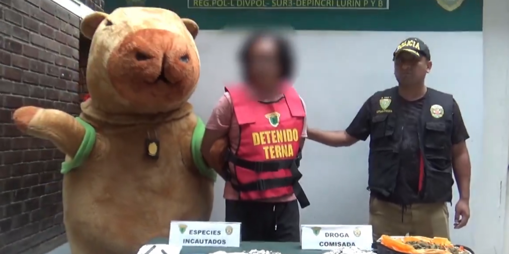 Un policía peruano se disfraza de la 'capibara del amor' para capturar a un traficante de droga