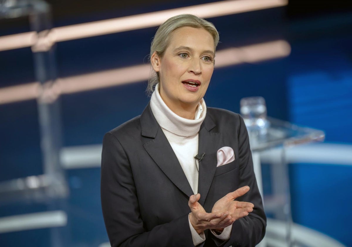 Este es el programa de Alternativa por Alemania (AfD) y Alice Weidel para las elecciones en Alemania