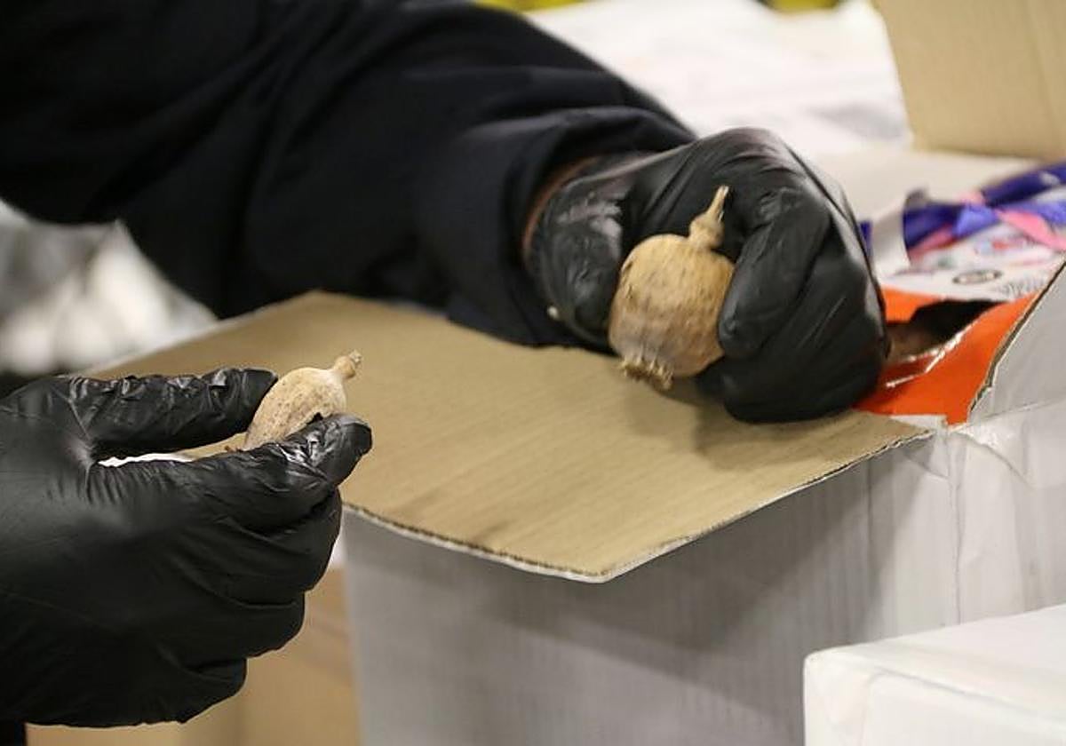 Bolsa cargada con adormidera procedente de Barajas