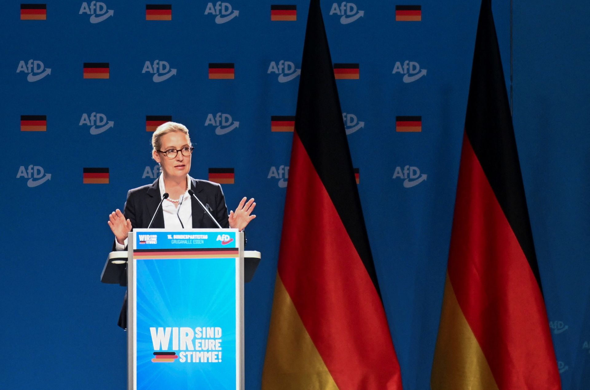 La colíder del partido Alternativa para Alemania (AfD), Alice Weidel