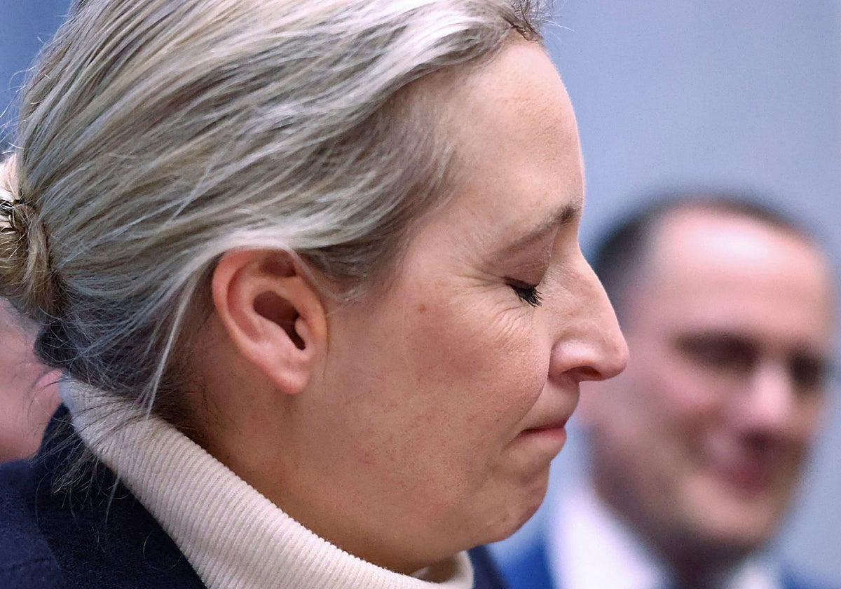 La decisión supone un golpe para Alternativa para Alemania (AfD), el partido dirigido por Alice Weidel
