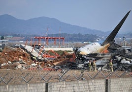 Familiares de las víctimas del accidente de avión de Corea del Sur demandan al ministro de Transportes