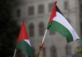 Palestina planta su bandera en la OMS y abre una brecha entre las potencias occidentales