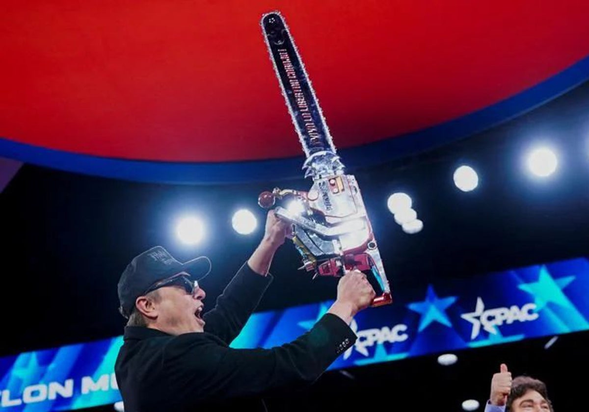 Elon Musk con la motosierra de Milei
