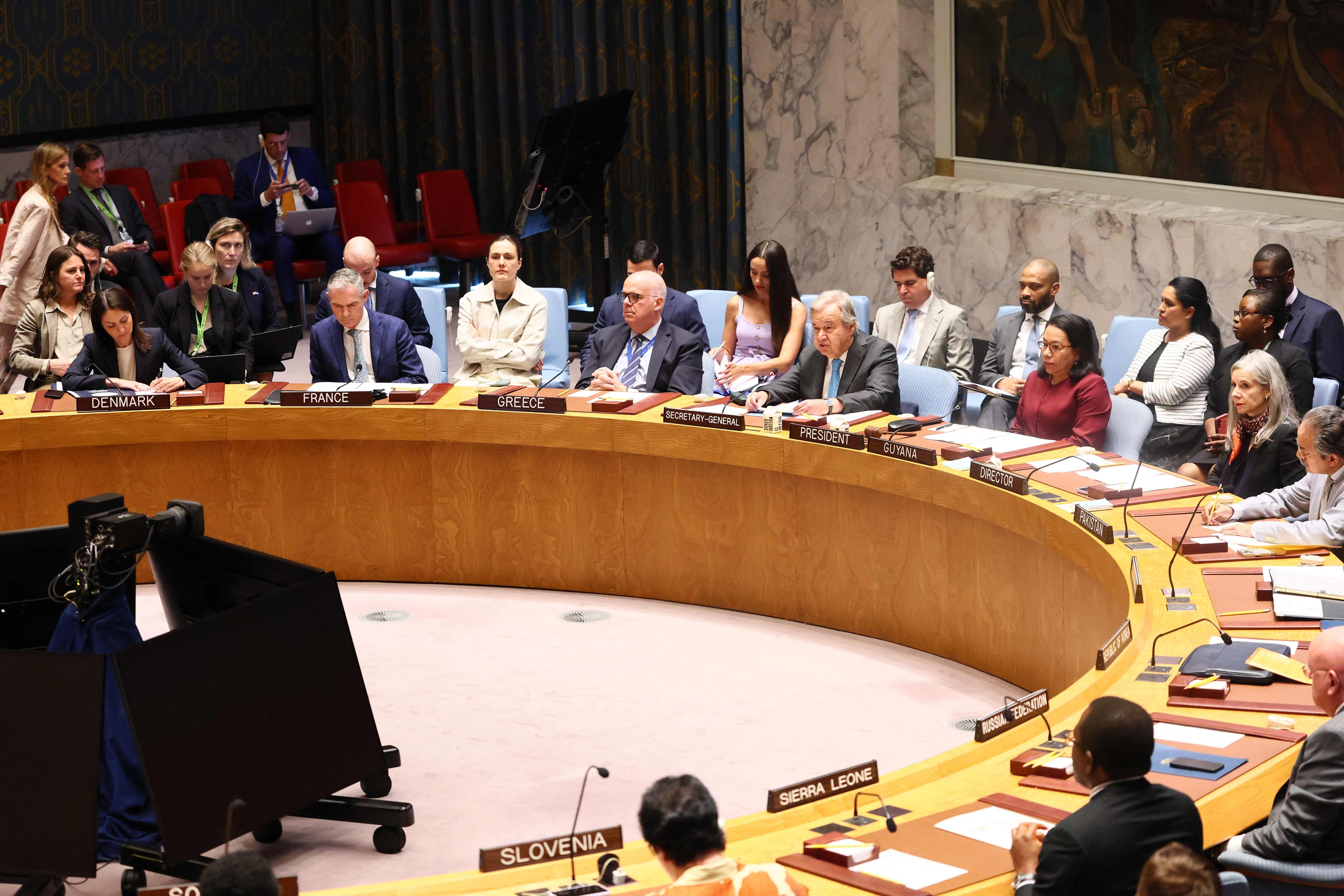 Rusia y China exigen una resolución de alto el fuego en el Consejo de Seguridad de la ONU