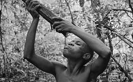 Los baaka: el corazón que aún late en la selva africana