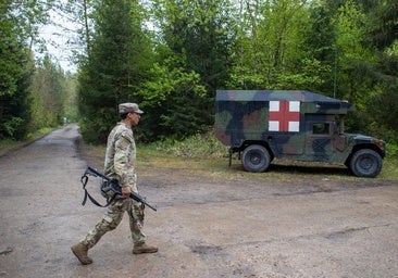 El Gobierno de Austria plantea adherirse a la OTAN